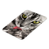 Tabby Cat Licking Paw Magneet (Linkerzijde)