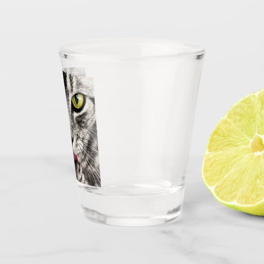 Tabby Cat Licking Paw Shot Glas (Rechts)