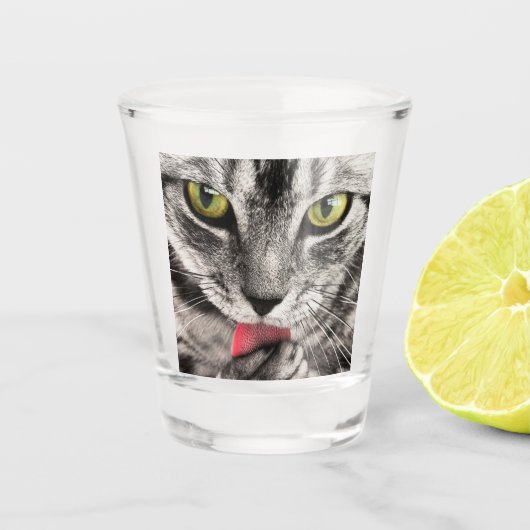 Tabby Cat Licking Paw Shot Glas (Voorkant)