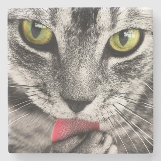 Tabby Cat Licking Paw Stenen Onderzetter (Voorkant)