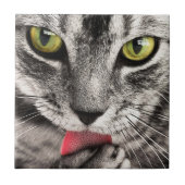 Tabby Cat Licking Paw Tegeltje (Voorkant)