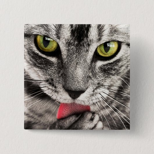 Tabby Cat Licking Paw Vierkante Button 5,1 Cm (Voorkant)
