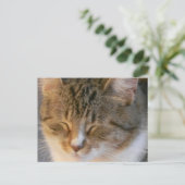 Tabby Cat Love Briefkaart (Staand voorkant)