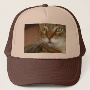 Tabby Cat Love Trucker Pet