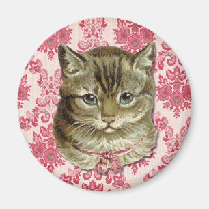 Tabby cat magneet