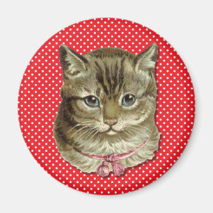 Tabby cat magneet