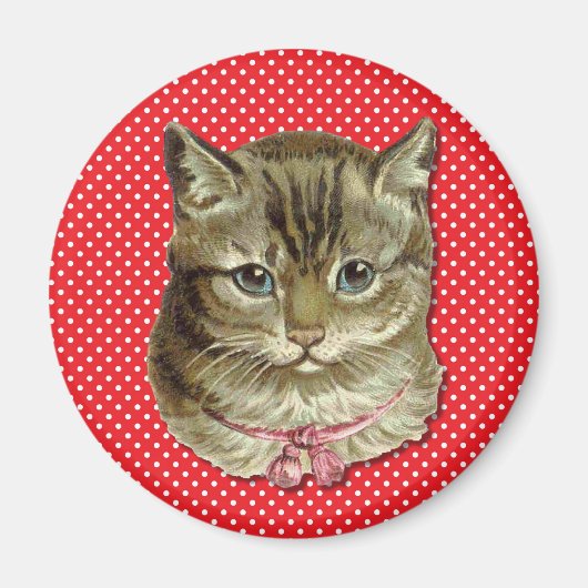 Tabby cat magneet (Voorkant)