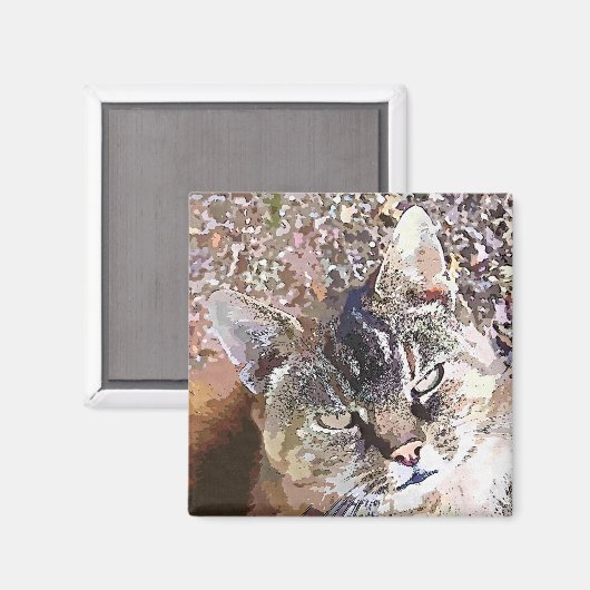 TABBY CAT MAGNEET (Voorkant / Achterkant)