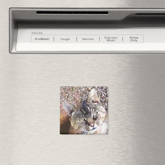 TABBY CAT MAGNEET (Insitu (Vaatwasser))