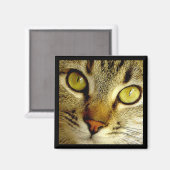 Tabby Cat - Magneet (Voorkant / Achterkant)