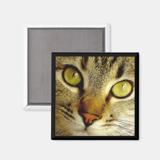 Tabby Cat - Magneet (Voorkant / Achterkant)