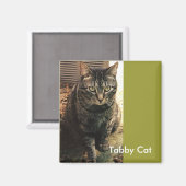 Tabby Cat Magneet retro groen (Voorkant / Achterkant)