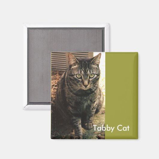 Tabby Cat Magneet retro groen (Voorkant / Achterkant)