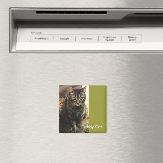 Tabby Cat Magneet retro groen (Insitu (Vaatwasser))