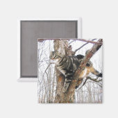 Tabby Cat Magnet (Voorkant / Achterkant)