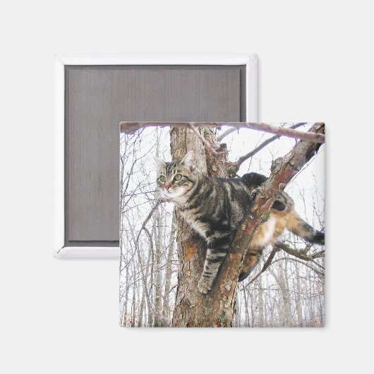 Tabby Cat Magnet (Voorkant / Achterkant)