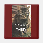 Tabby Cat Magnet Maroon achtergrond (Voorkant)