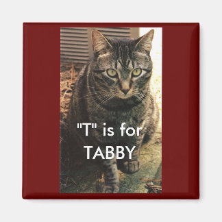 Tabby Cat Magnet Maroon achtergrond