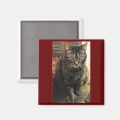 Tabby Cat Magnet Maroon achtergrond (Voorkant / Achterkant)