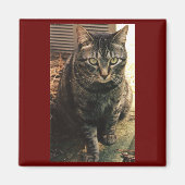 Tabby Cat Magnet Maroon achtergrond (Voorkant)
