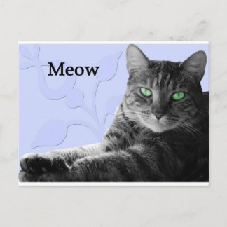 Tabby Cat Meow Briefkaart