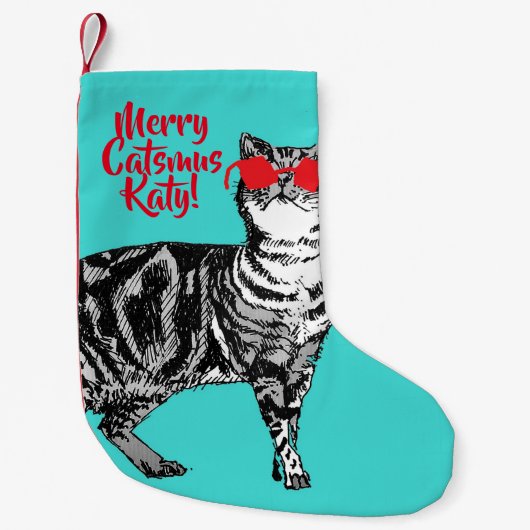 Tabby Cat Merry Catsmus Aqua Kerstkous Kleine Kerstsok (Voorkant)