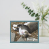 Tabby Cat met Dreamweaver Eyes Dank u Briefkaart (Staand voorkant)