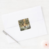 Tabby Cat met Green Eyes Portrait Sticker (Envelop)