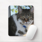 Tabby Cat met  ogen Muismat (Met muis)