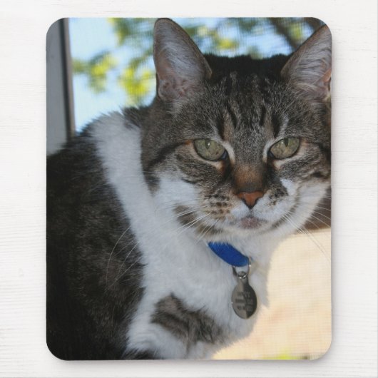 Tabby Cat met  ogen Muismat (Voorkant)