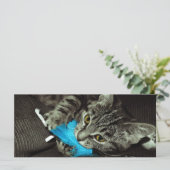 Tabby Cat met Veer van Shirley Taylor (Staand voorkant)