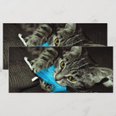 Tabby Cat met Veer van Shirley Taylor (Voorkant / Achterkant)