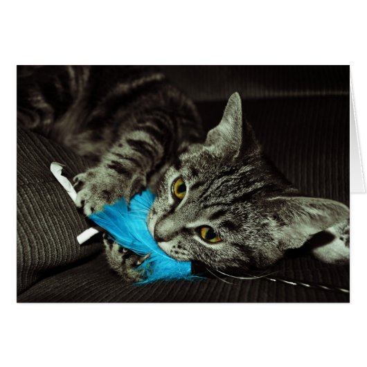 Tabby Cat met Veer van Shirley Taylor (Voorkant Horizontaal)