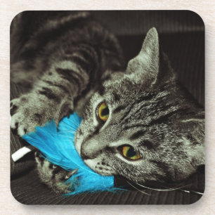 Tabby Cat met Veer van Shirley Taylor Bier Onderzetter
