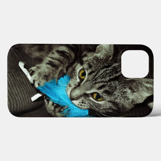 Tabby Cat met Veer van Shirley Taylor Case-Mate iPhone Case (Achterkant (horizontaal))