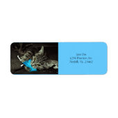 Tabby Cat met Veer van Shirley Taylor Etiket (Voorkant)