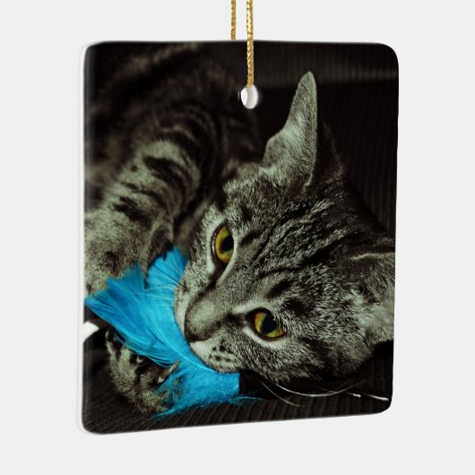 Tabby Cat met Veer van Shirley Taylor Keramisch Ornament (Rechts)