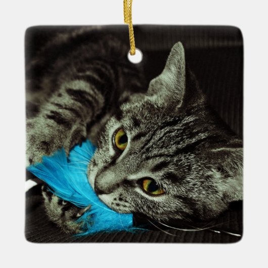 Tabby Cat met Veer van Shirley Taylor Keramisch Ornament (Voorkant)