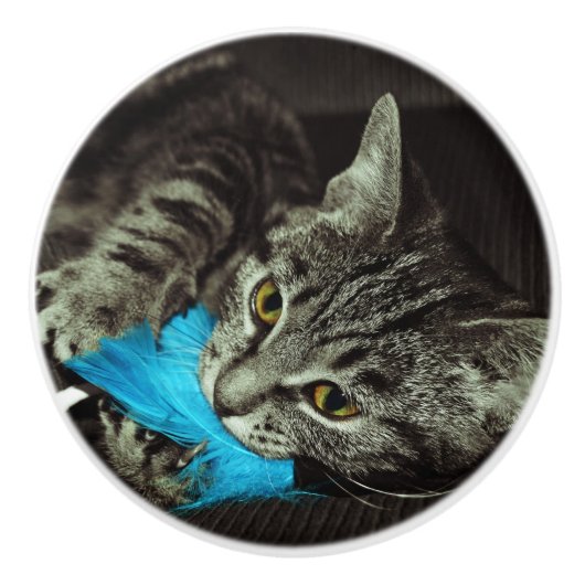 Tabby Cat met Veer van Shirley Taylor Keramische Knop (Voorkant)