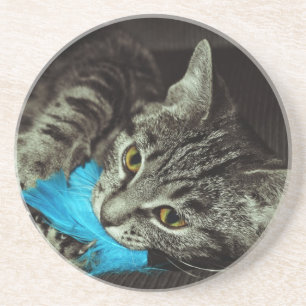 Tabby Cat met Veer van Shirley Taylor Zandsteen Onderzetter