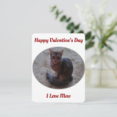 Tabby Cat Mewing Photo I Love Mew Valentijns Feestdagenkaart (Staand voorkant)