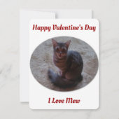 Tabby Cat Mewing Photo I Love Mew Valentijns Feestdagenkaart (Voorkant)