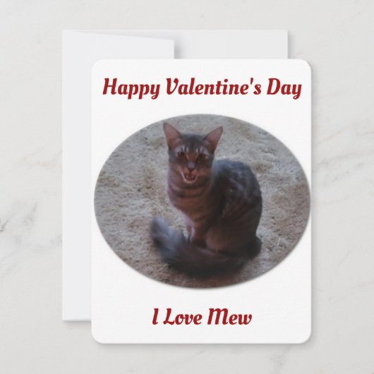Tabby Cat Mewing Photo I Love Mew Valentijns Feestdagenkaart (Voorkant)