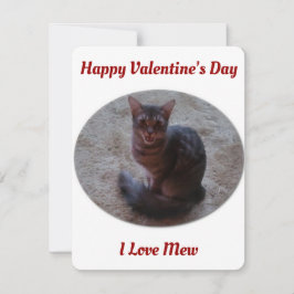 Tabby Cat Mewing Photo I Love Mew Valentijns Feestdagenkaart
