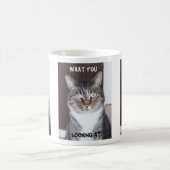 Tabby Cat Mok (Center)