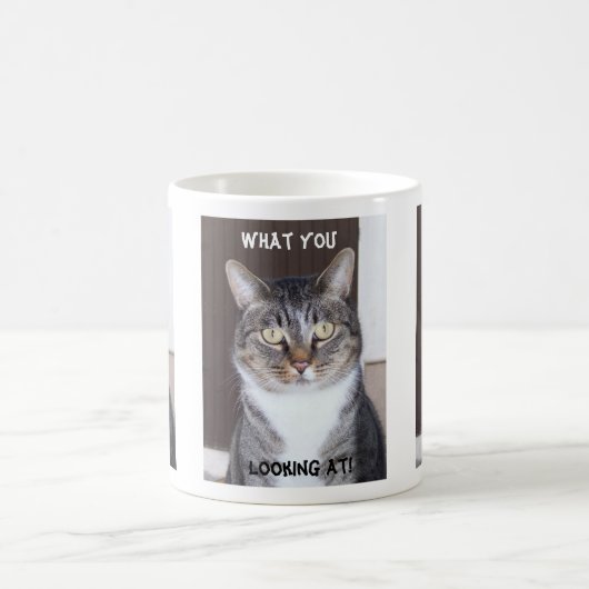 Tabby Cat Mok (Center)