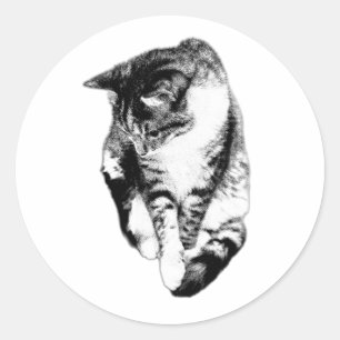 Tabby Cat monochrome Sticker neerkijken