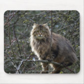 Tabby Cat Mousepad met lang haar Muismat (Voorkant)