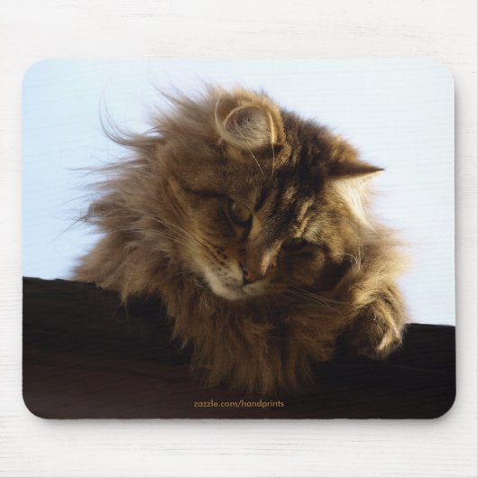 Tabby Cat Mousepad met lang haar Muismat (Voorkant)