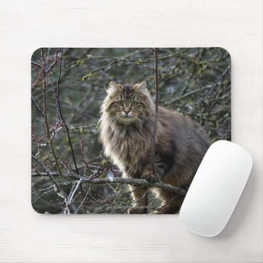 Tabby Cat Mousepad met lang haar Muismat (Met muis)